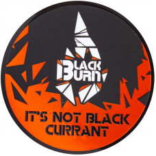 Табак Black Burn 25 гр Its not Black Currant Красная Смородина
