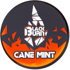 Табак Black Burn 25 гр Cane Mint Тростниковая мята
