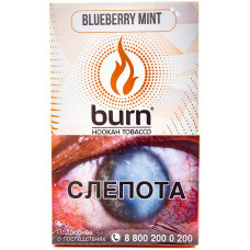 Табак Burn 100 гр Blueberry Mint