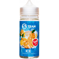 Жидкость S Team Salt 100 мл Ice Лимонный Пирог 3 мг/мл